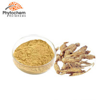 China origin high quality Dong Quai angelica sinensis extract powder with 1% Ligustilide